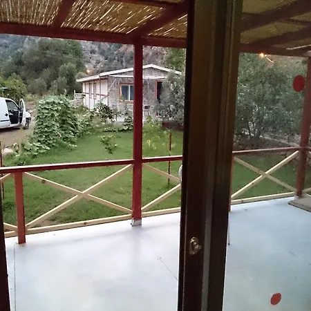 Calba Hause Turunc