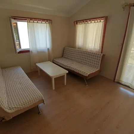 Calba Hause Turunç