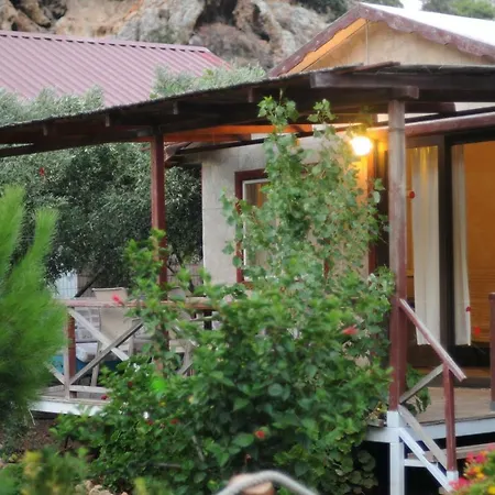 Calba Hause Turunc