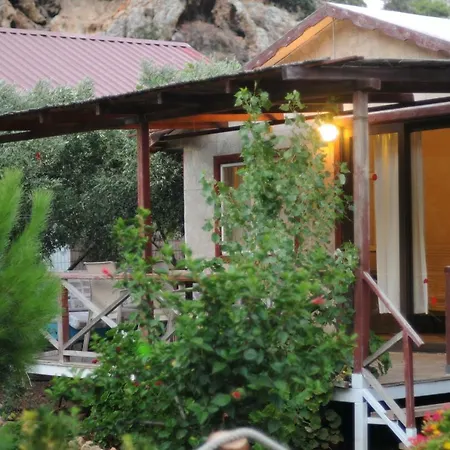 Calba Hause Turunç