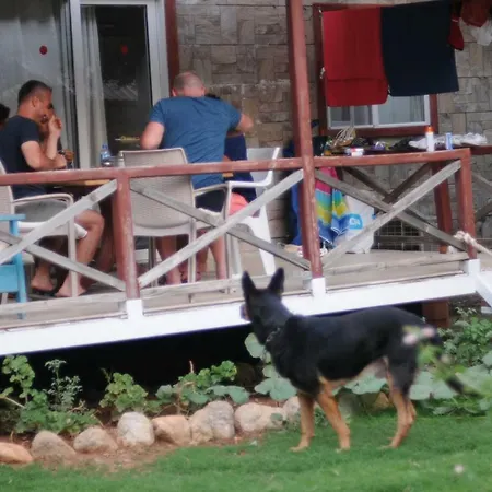 Calba Hause Gospodarstwo agroturystyczne *
