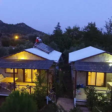 Calba Hause Gospodarstwo agroturystyczne Turunç