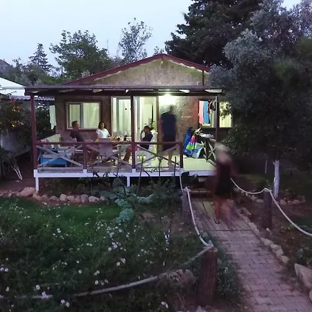 Calba Hause Farm stay