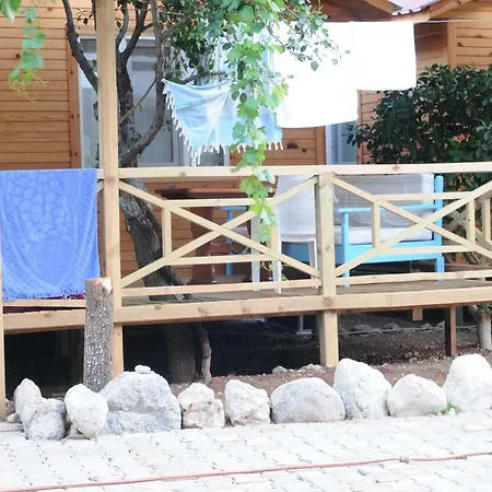 Calba Hause * Turunç