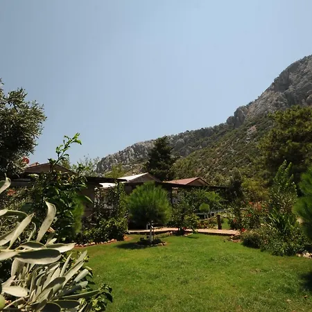 Calba Hause Farm stay *