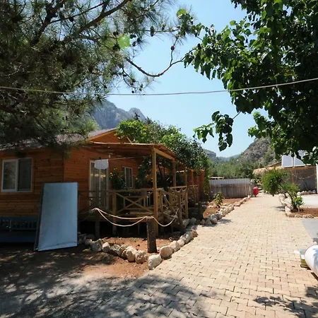 Calba Hause Turunc