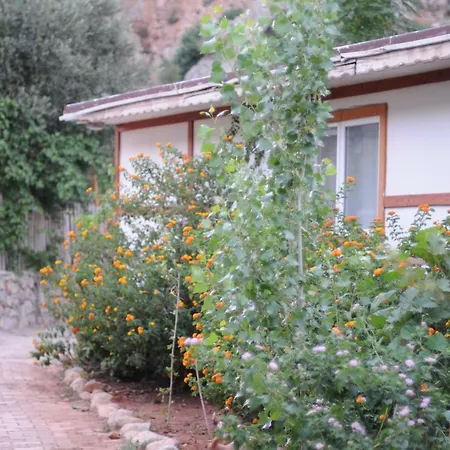 Calba Hause