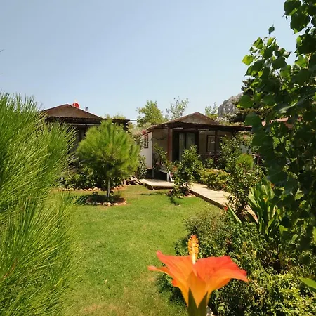 Feriegård Calba Hause Turunç